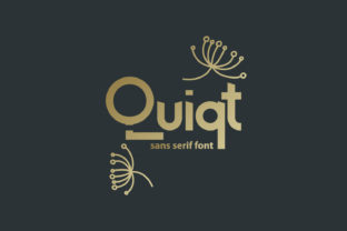 Quiqt Typeface: Abstract Display Fonts for Editorial Design
